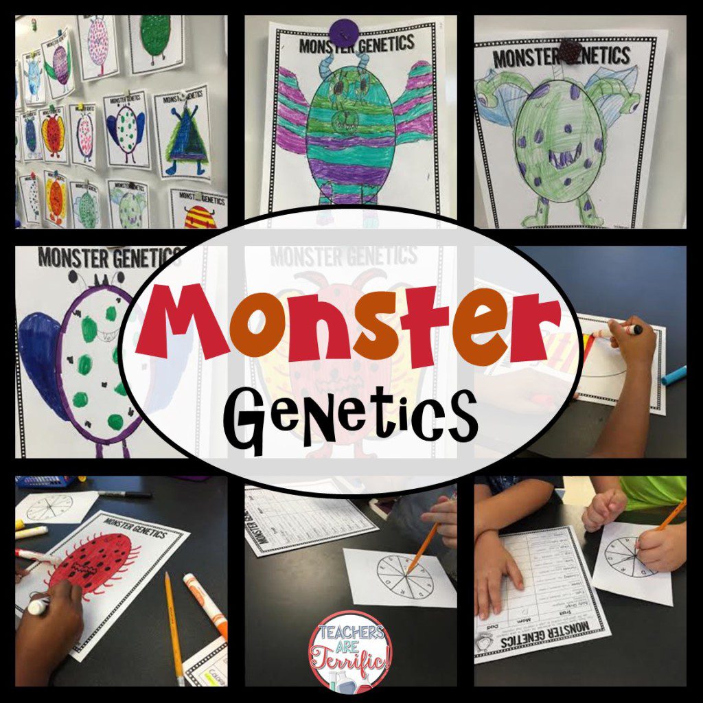 Genetics in the STEM Lab!