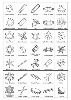 Types of Snowflakes