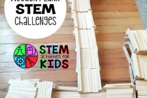 Wooden Plank STEM Challenges