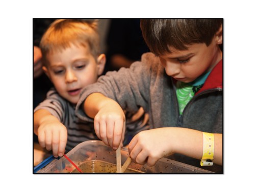 Do you do Family STEM Nights at your school? In this blog Get Caught Engineering shares tips, a timeline for planning, and resources for a successful STEM Family Night.