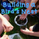 Spring STEM:  Building a Bird Nest