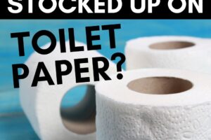 Fun Activities to Try with Toilet Paper Rolls!