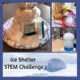 Ice STEM Shelter Challenge