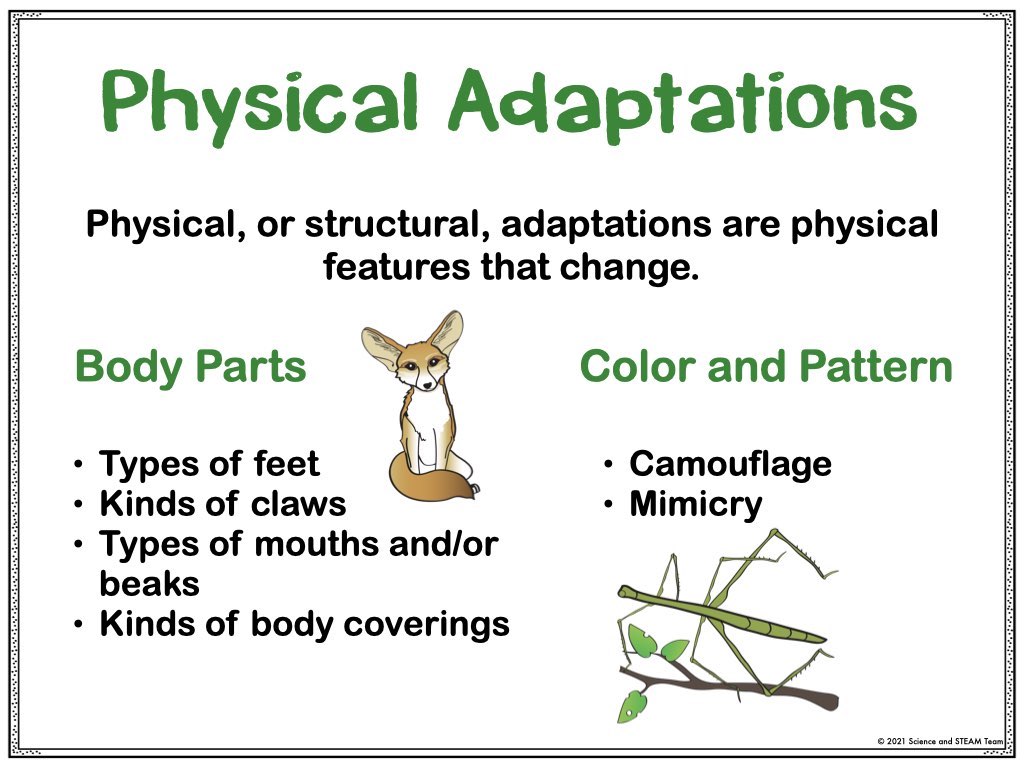 Animal adaptation