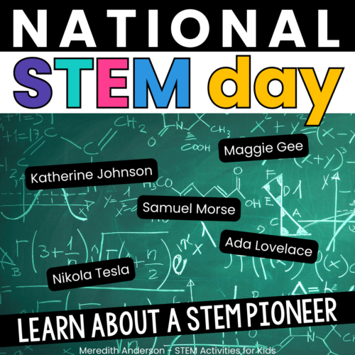 National STEM Day idea - learn about a famous STEM person