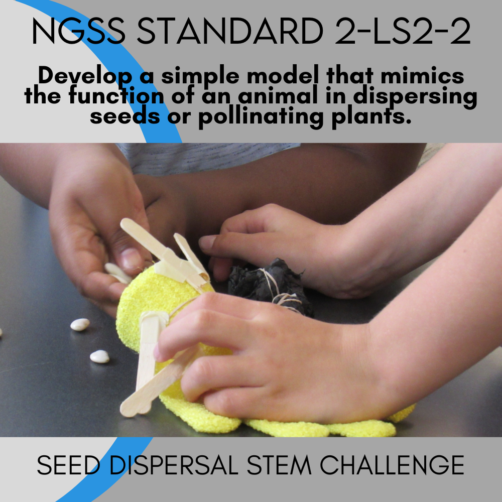 STEM with an NGSS Standard= Seed Dispersal project.